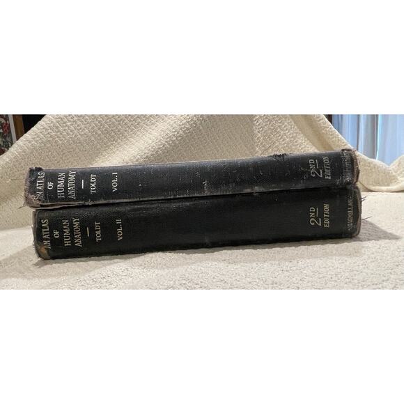 An Atlas of Human Anatomy Vol 1 & 2 by Carl Toldt - 1941 and 1948 Hardcover - Picture 4 of 13
